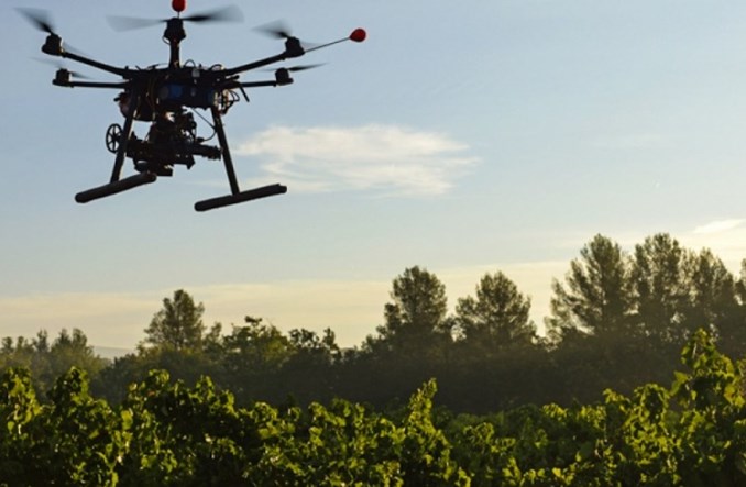 Drony w służbie lasom. Posadzą do miliarda drzew rocznie