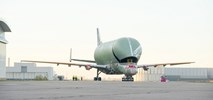 Pierwszy frachtowiec BelugaXL opuścił linię fabryczną (ZDJĘCIA)