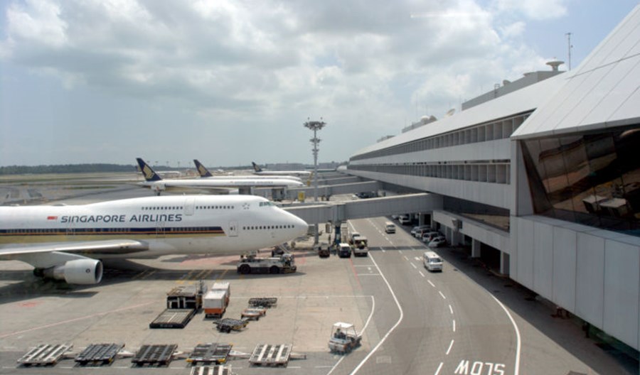 Scoot obsłuży czartery cargo Singapore Airlines Scoot obsłuży czartery cargo Singapore Airlines