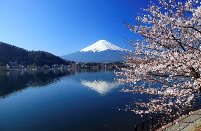 Air France celebrują Hanami – japońskie Święto Kwitnącej Wiśni