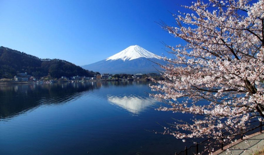 Air France celebrują Hanami – japońskie Święto Kwitnącej Wiśni Air France celebrują Hanami – japońskie Święto Kwitnącej Wiśni
