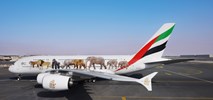 Emirates pomaga chronić dziką przyrodę i wrażliwe ekosystemy