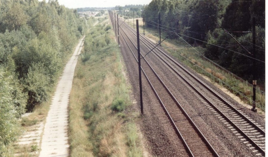 PKP Intercity: Jesteśmy kluczowym partnerem CPK PKP Intercity: Jesteśmy kluczowym partnerem CPK