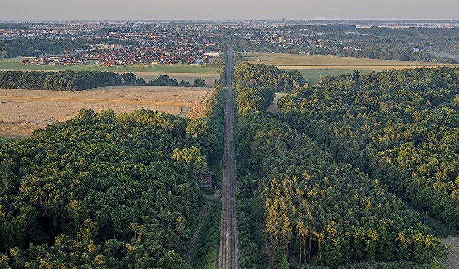 Prezes PKP PLK: Budowa 500 km linii kolejowych do CPK w 6 lat to wyzwanie Prezes PKP PLK: Budowa 500 km linii kolejowych do CPK w 6 lat to wyzwanie