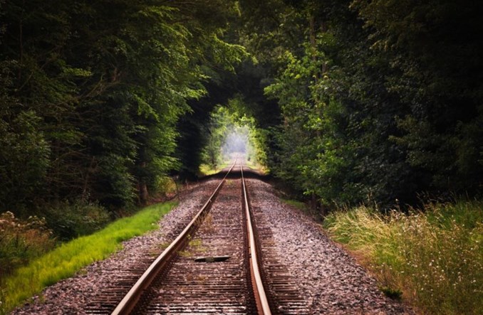 Siedem ofert w przetargu CPK na inwentaryzację przyrodniczą