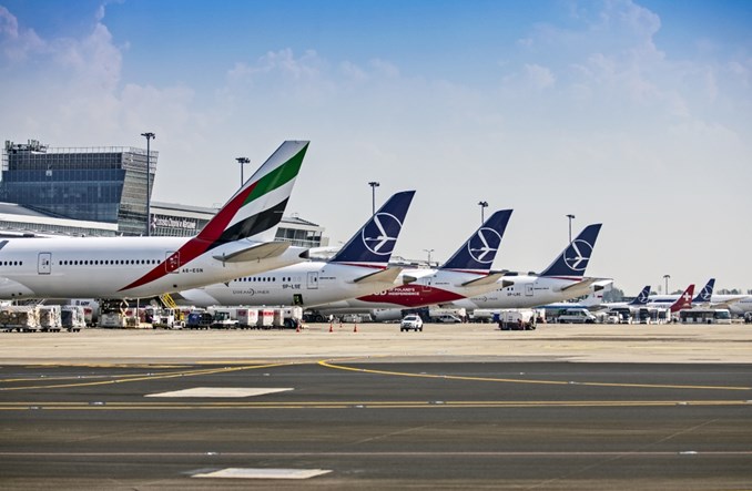 PPL: Jest propozycja umowy ze schroniskiem na Paluchu. Do roku 2027 [aktualizacja]