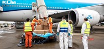 KLM ma nowy pomysł na cargo. „Ładunek w kabinie” (Zdjęcia)