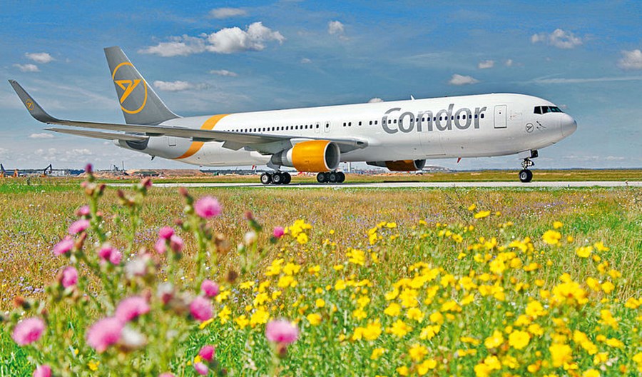Condor przejęty przez Attestor. Z LOT się nie udało Condor przejęty przez Attestor. Z LOT się nie udało