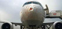 Boeing 777F linii Turkish Cargo lądował awaryjnie po kolizji z ptakami