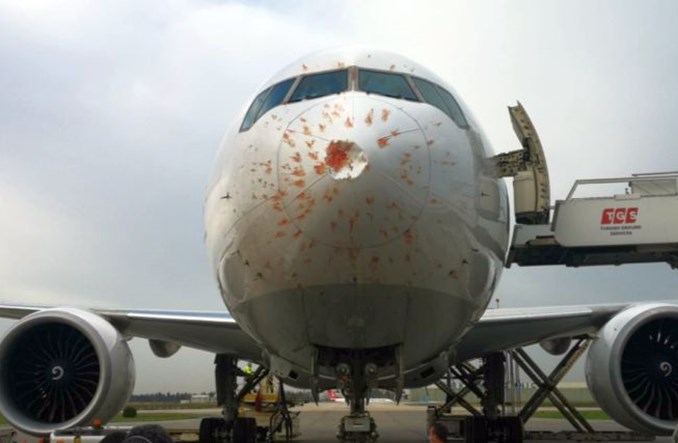 Boeing 777F linii Turkish Cargo lądował awaryjnie po kolizji z ptakami