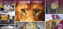 Qatar Airways Cargo pomogły w przelocie lwów do RPA