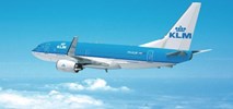 KLM chce pozyskiwać paliwo lotnicze z odpadów leśnych