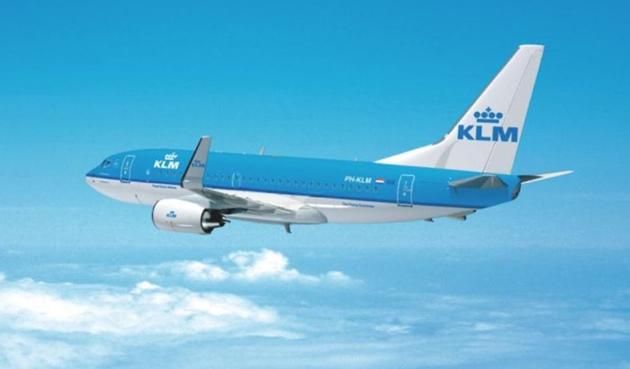 KLM chce pozyskiwać paliwo lotnicze z odpadów leśnych