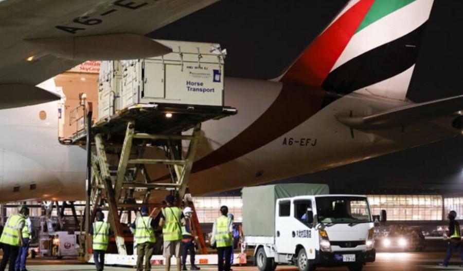 Emirates przewiozą z Liege do Tokio 247 koni na igrzyska Emirates przewiozą z Liege do Tokio 247 koni na igrzyska