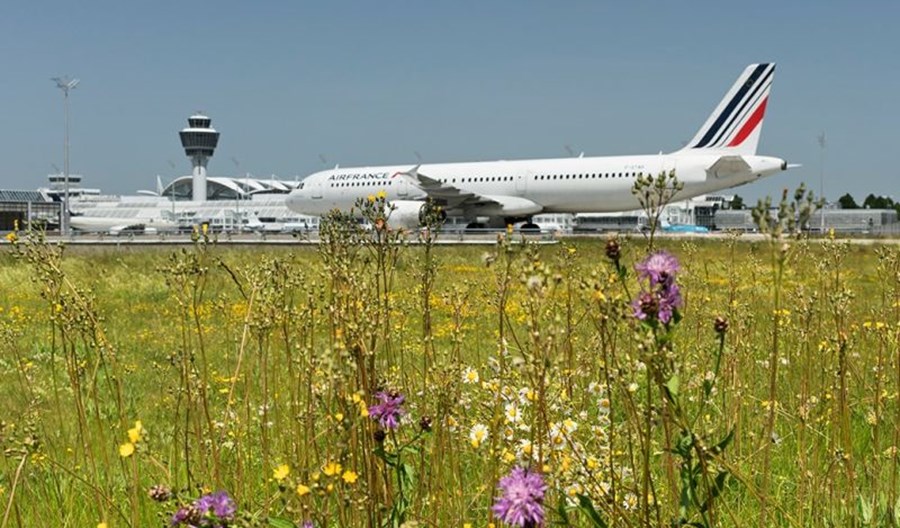 Regulacje slotów źródłem sporu. IATA ostrzega KE przed pustymi lotami w Europie Regulacje slotów źródłem sporu. IATA ostrzega KE przed pustymi lotami w Europie