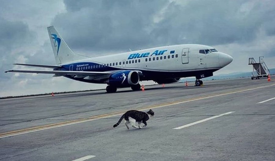 10 nowych tras Blue Air z Rumunii na południe Europy 10 nowych tras Blue Air z Rumunii na południe Europy