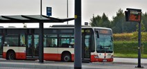 Gdańsk: Nowa linia autobusowa do lotniska im. Lecha Wałęsy