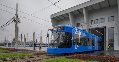 Kraków ma już 10 nowych Lajkoników