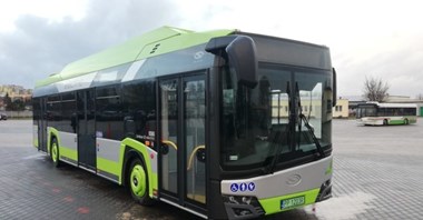 Piła kupi autobusy wodorowe, a Gniezno elektryczne