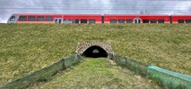 Gdańsk: Elektryczny pociąg PKM dojedzie na lotnisko