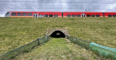 Gdańsk: Elektryczny pociąg PKM dojedzie na lotnisko