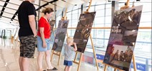 Rzeszów: Historyczna wystawa w terminalu lotniska