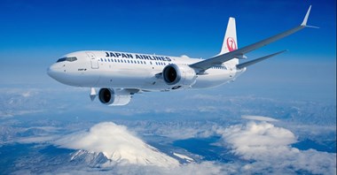 Zapaśnicy storpedowali loty Japan Airlines 