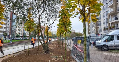 Poznań. Trasa Kórnicka będzie zielona