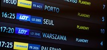 Rekordowe wyniki połączenia Wrocław – Seul. Wysokie wypełnienie i rosnący popyt