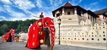 Join UP! Polska sprzedaje już wycieczki na Sri Lankę