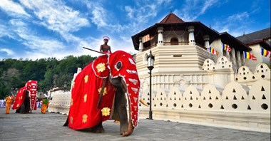 Join UP! Polska sprzedaje już wycieczki na Sri Lankę