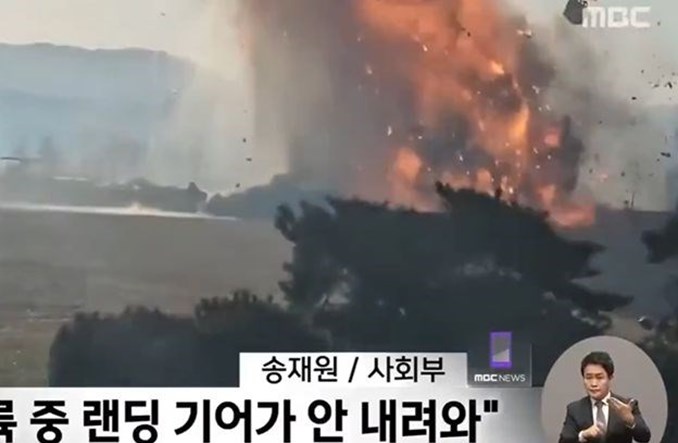 Katastrofa w Korei. Media: w silniku Jeju Air znaleziono ptasie pióra 