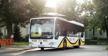 Koleje Dolnośląskie. Autobusy dowozowe coraz popularniejsze