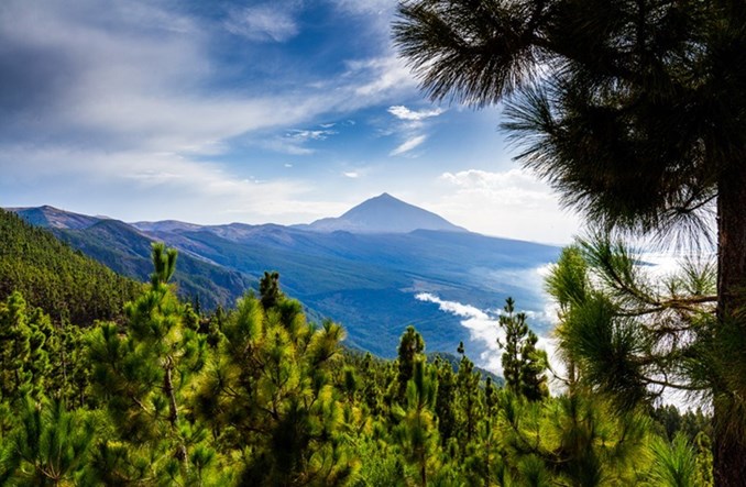 Z Polski na „Kanary”. Jeszcze więcej lotów