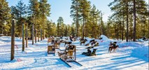 Kittilä nowym zimowym kierunkiem KLM