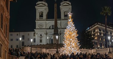 Boom na święta Bożego Narodzenia w blasku słońca 