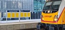 Dokąd i dlaczego nie dojechał Regiojet w Polsce?