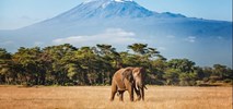 British Airways powracają do Tanzanii z lotami do Kilimandżaro i na Zanzibar