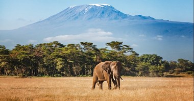 British Airways powracają do Tanzanii z lotami do Kilimandżaro i na Zanzibar