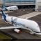 Trzecia BelugaXL już w pełnych barwach Airbusa Trzecia BelugaXL już w pełnych barwach Airbusa