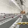 Lufthansa Cargo: Pierwszy A321P2F poleci jeszcze w marcu