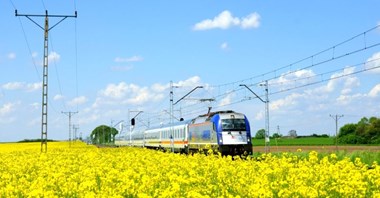 PKP Intercity: 56 proc. pasażerów wybiera kolej dla ekologii