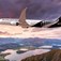 Air New Zealand zmniejszą liczbę rejsów, aby lepiej latać