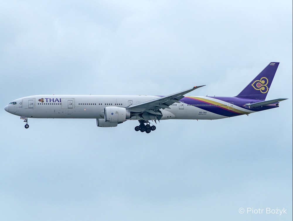 Rentowny biznes, a polityczna kontrola. Kazus Thai Airways